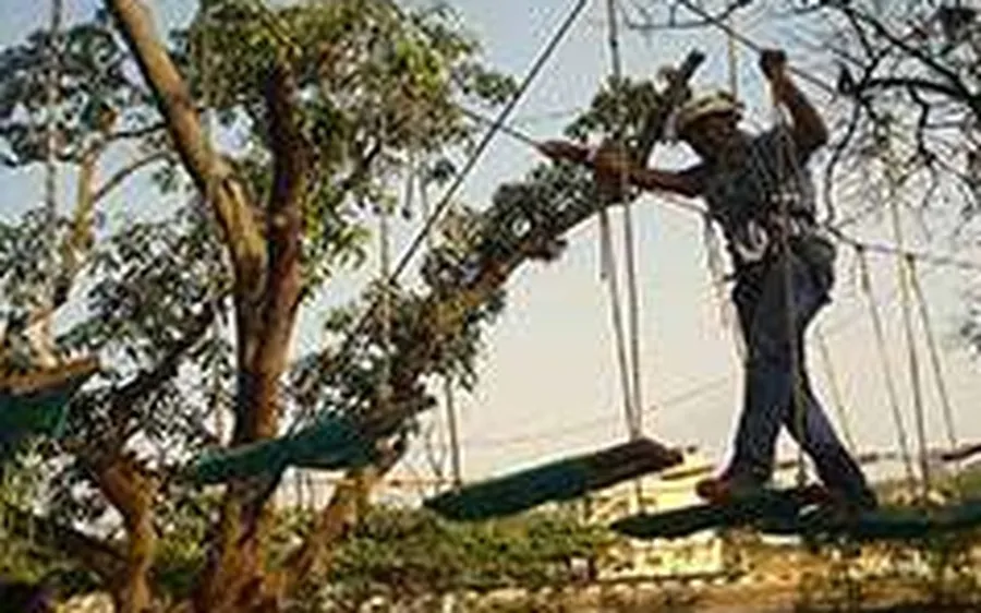 Quake walk bridge activity in Dandeli