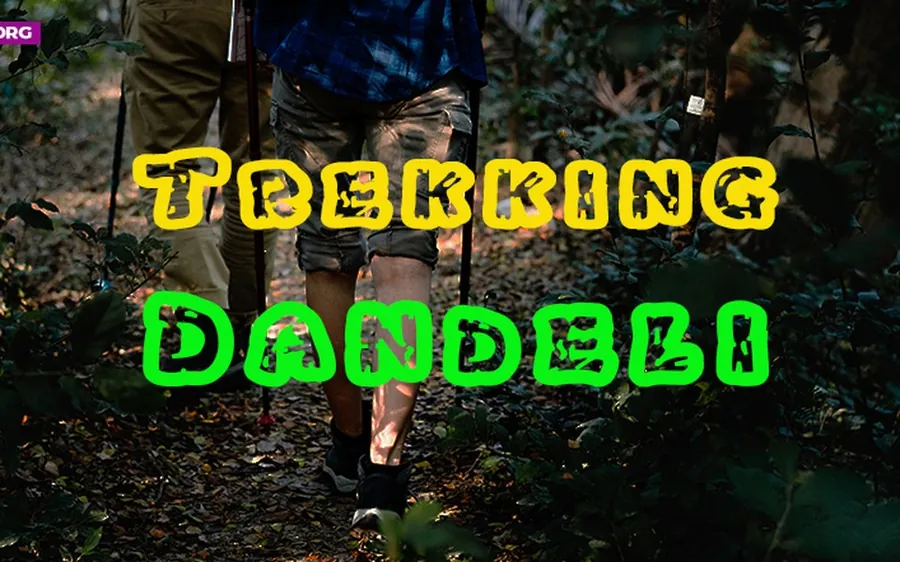 Trekking through Western Ghats near Dandeli