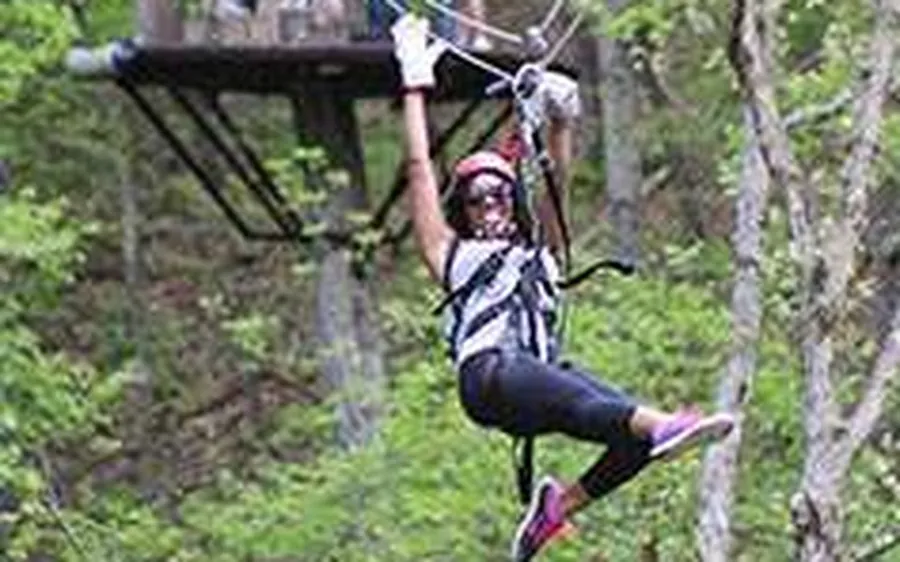 Zip line over the forest canopy in Dandeli