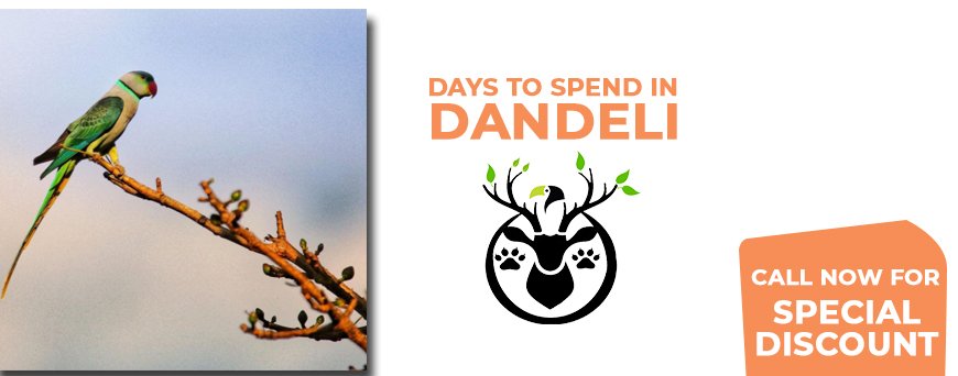 Planning how many days to spend on a Dandeli trip