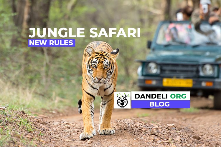 Tiger safari and forest tourism guidelines