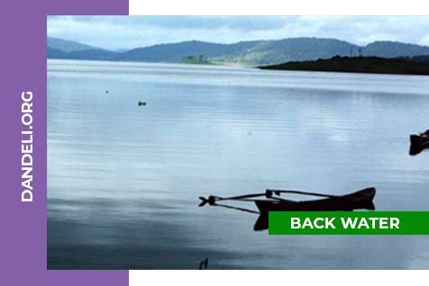 Back Water