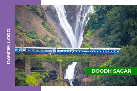 Doodh Sagar Falls