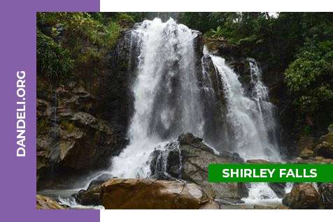 Shirley Falls