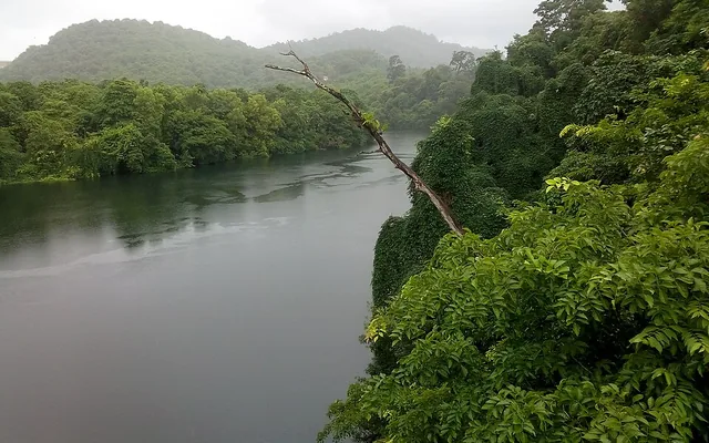 Emerald green forested stretch of the Kali river near its origin at Diggi