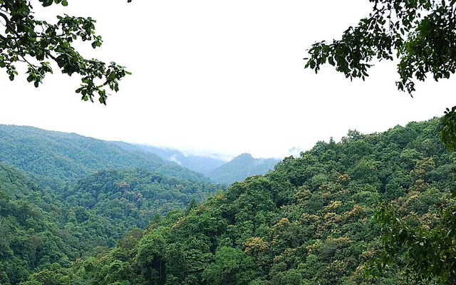 Open-jeep jungle safari through Dandeli wildlife sanctuary