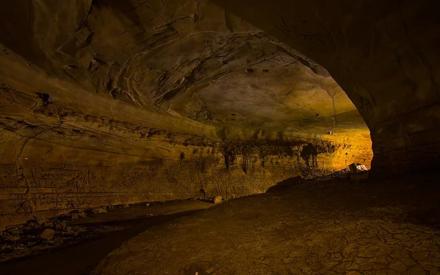 Forest trail leading to Kavala limestone caves near Dandeli
