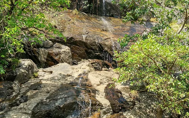 Dense Western Ghats forest near Joida and Terali Betta hill