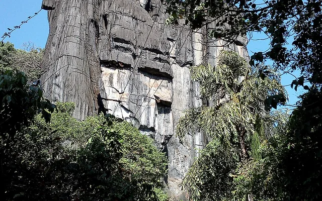 Dense forest trekking trail toward Ulavi caves near Dandeli