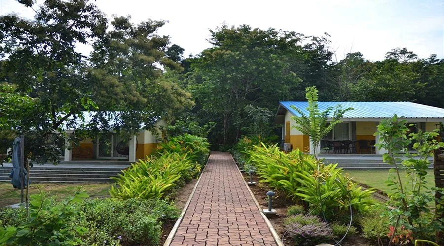 Forest-edge cottages at Whistling Woods Dandeli