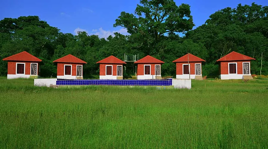Cottages and pool at Dark Forest Resort Homestay Dandeli