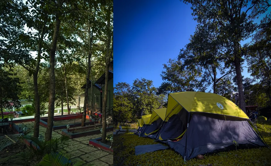 Yellow camping tents and forest garden paths at Hidden Valley Dandeli
