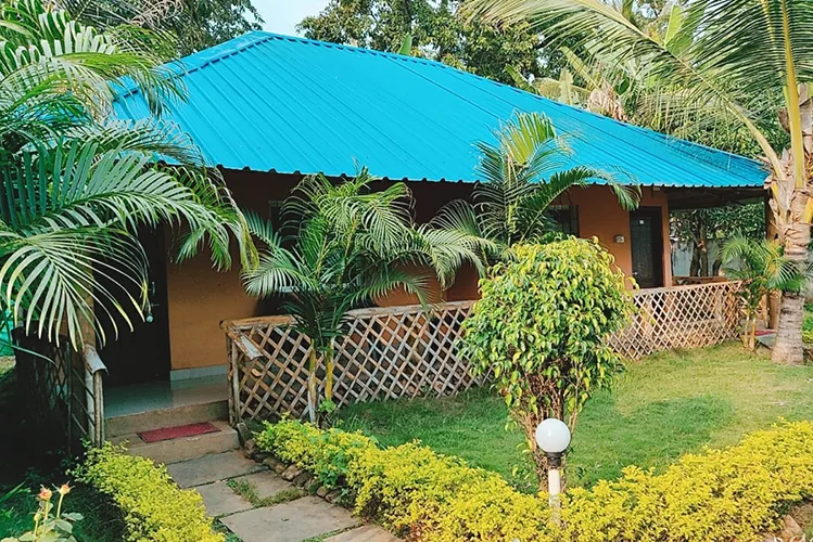 Pool and forest setting at Jungle Bell River Resort Dandeli