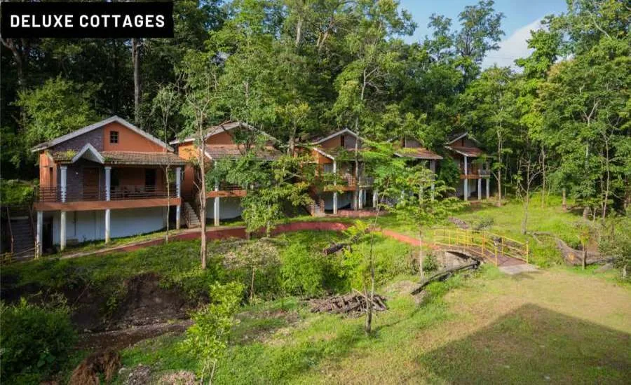 Resort landscaping at Parampara Cottage Pradhani