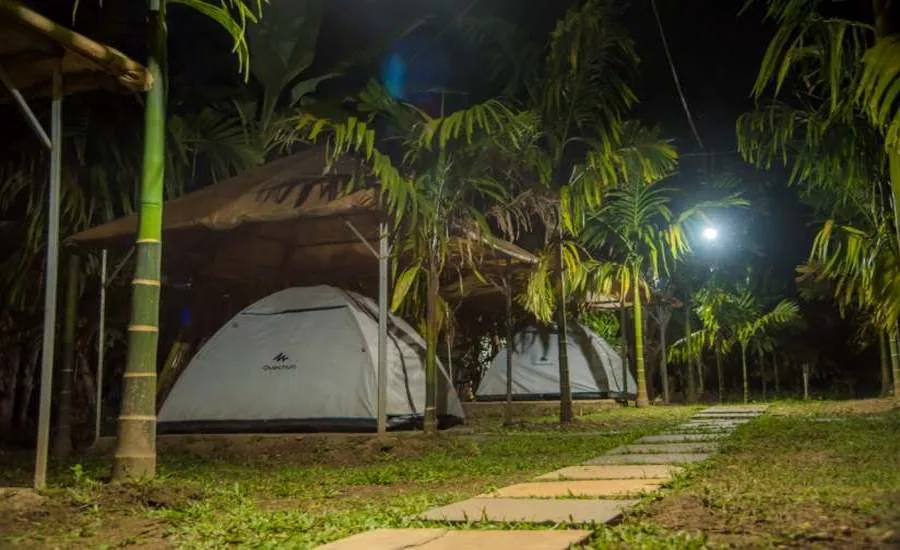 Night campsite tents under thatch shelters at Pepper Paradise Homestay Dandeli