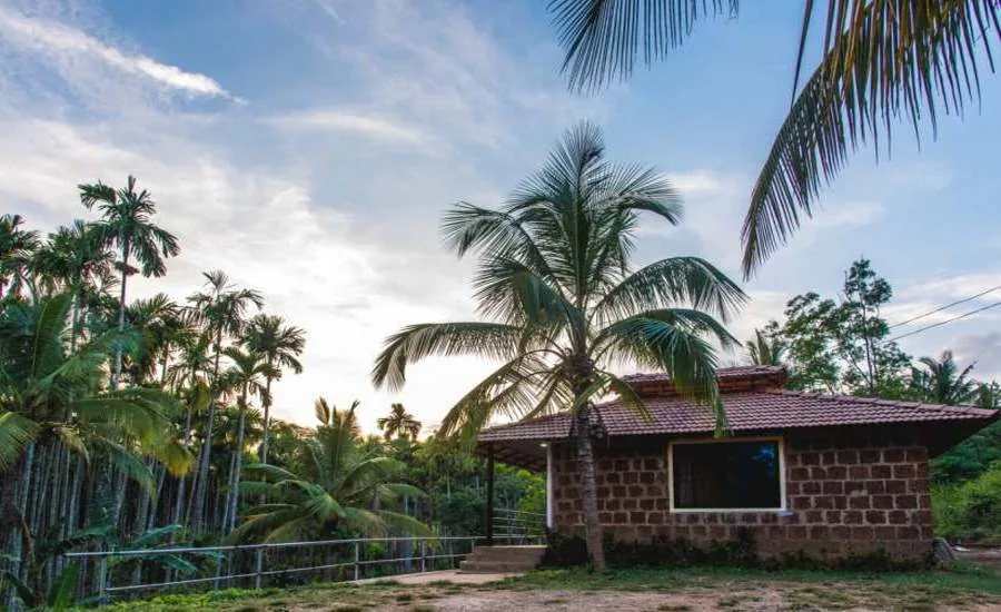 Stone cottage with tiled roof in the plantation at Pepper Paradise Homestay Dandeli
