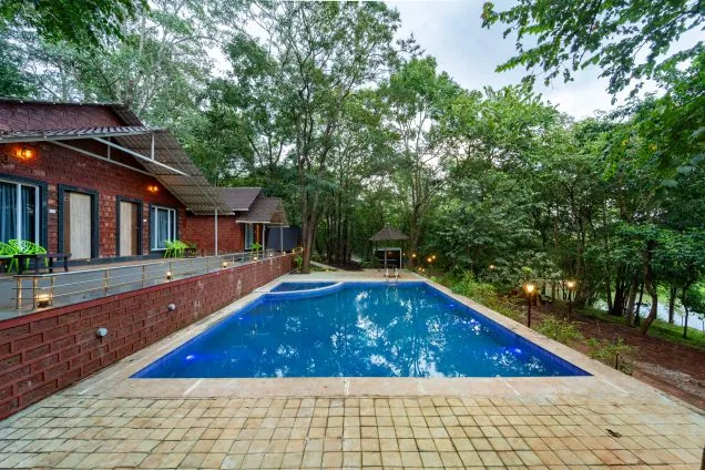 Pool deck facing forest cottages at Rain Forest Dandeli