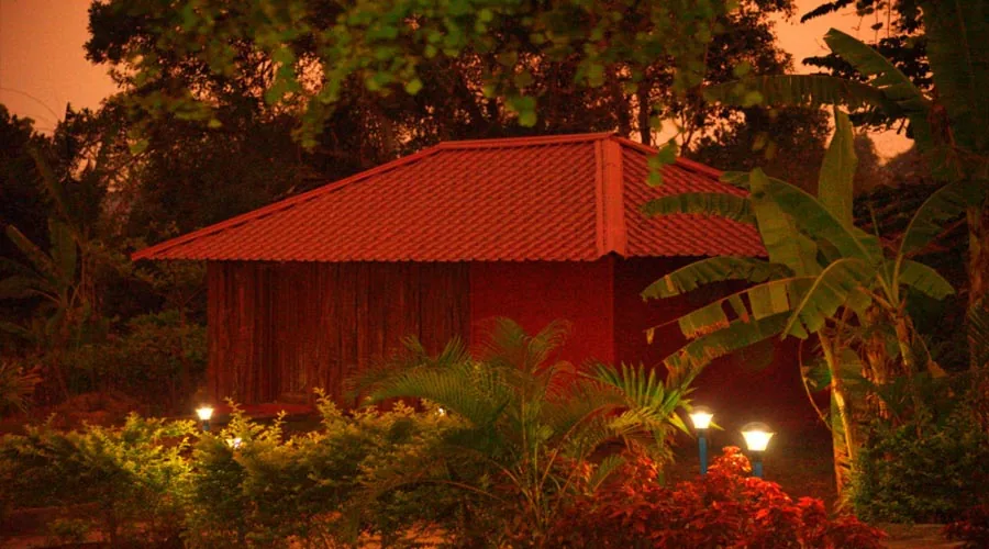 Camp surroundings at Rangers Camp near the tiger reserve