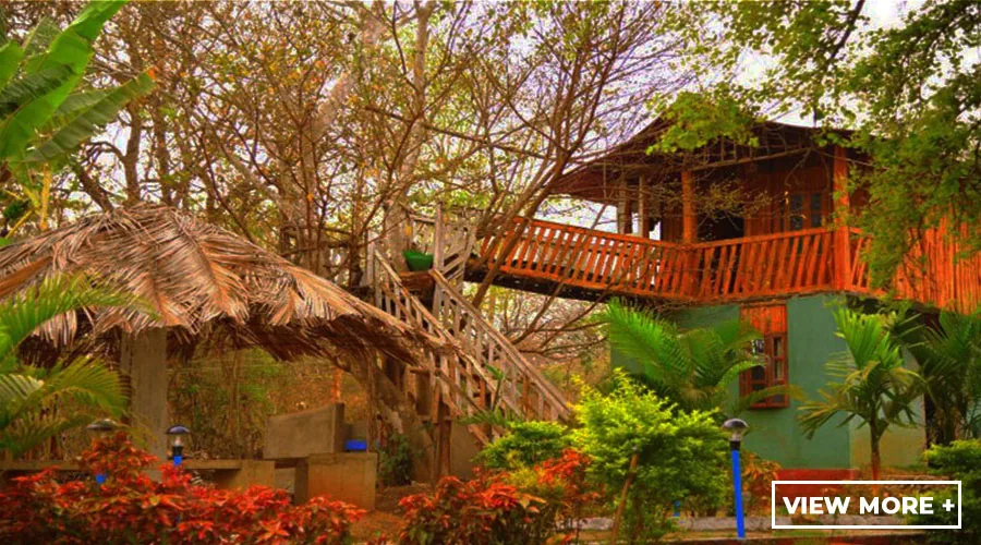 Elevated walkway and cottage at Rangers Camp Dandeli