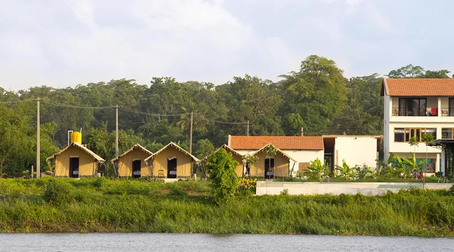 Riverfront tents at Starling River Resort Dandeli