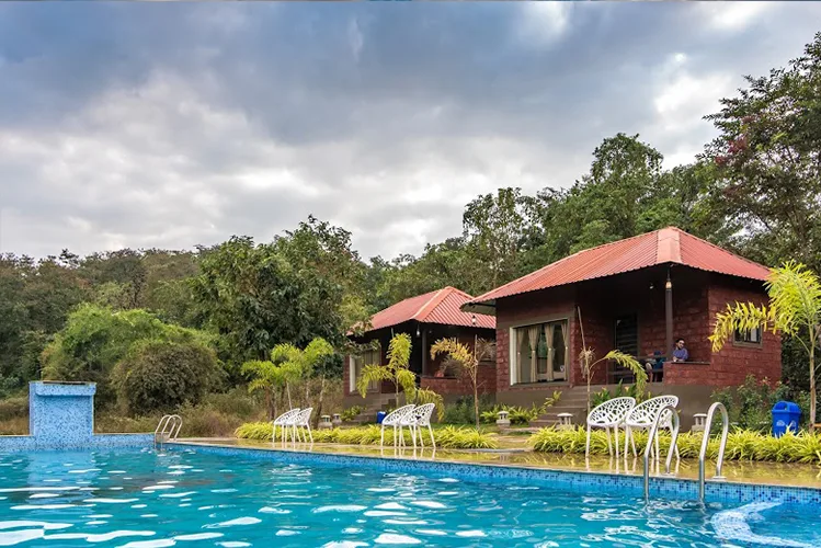 Resort grounds at Tusker Trails, Pradhani Dandeli