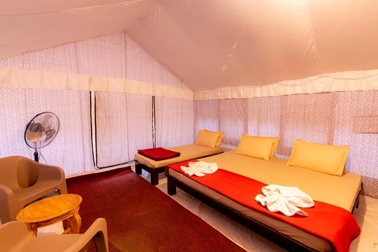 Stay detail at Tusker Trails Pradhani