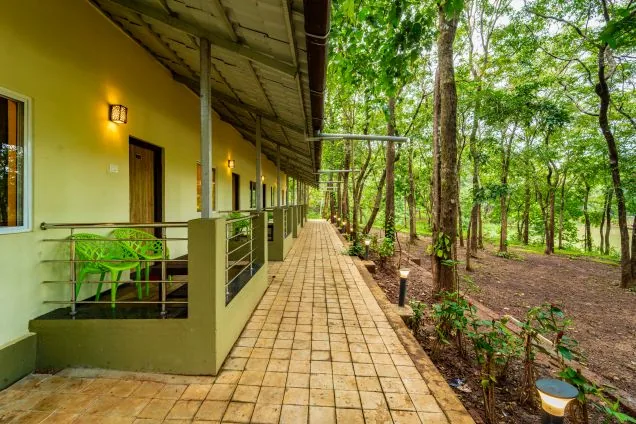 Forest-edge cottage walkway at White Elephant Cottage Dandeli
