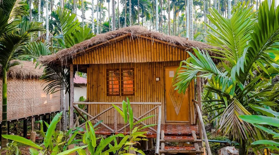 Thatched bamboo cottage among tropical trees at Woodpecker Homestay Dandeli