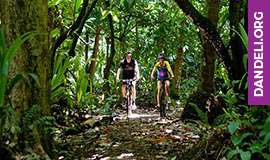 activities in dandeli