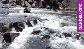 activities in dandeli