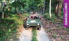activities in dandeli