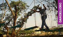 activities in dandeli