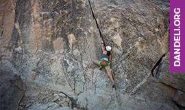 activities in dandeli