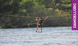 activities in dandeli