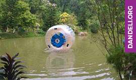 activities in dandeli