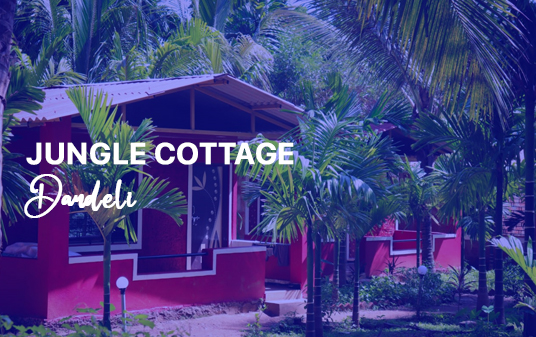 dandeli tour package dandeli tour package