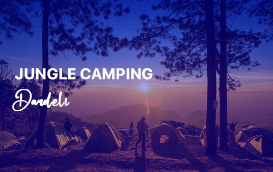 dandeli tour package dandeli tour package