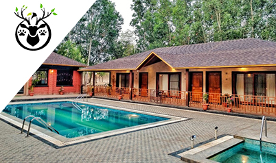 dandeli package
