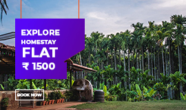 dandeli tour package