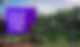 dandeli homestay package