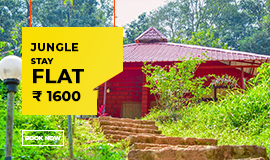 dandeli tour package
