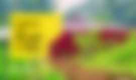 dandeli homestay package