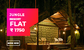 dandeli tour package
