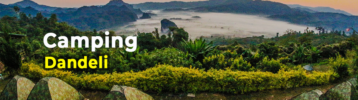 camping dandeli