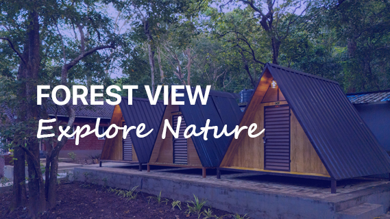 dandeli rafting package river view resort