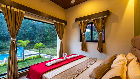 dandeli package
