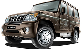 dandeli packages