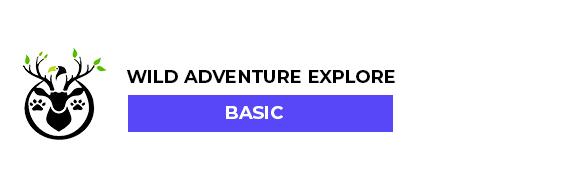 dandeli rafting package