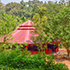 emerald homestay dandeli
