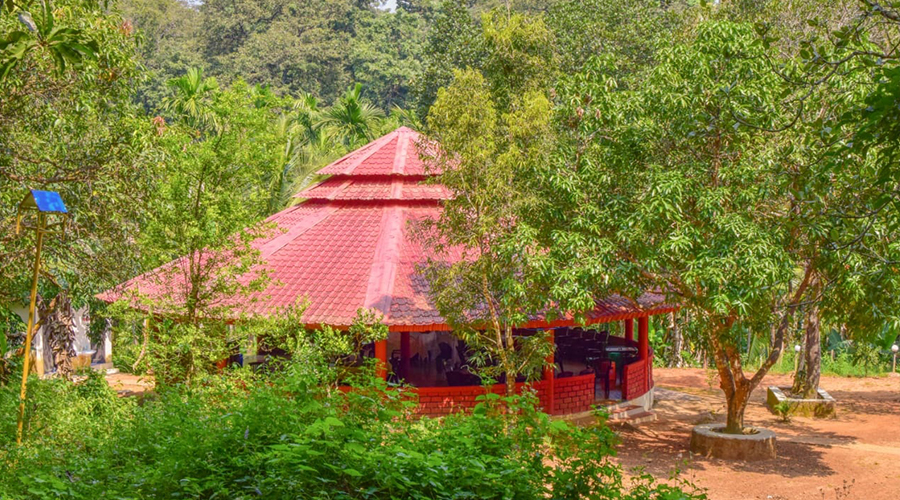 emerald homestay dandeli